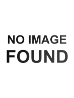 Pro 100 Steam Ironing Press with Stand